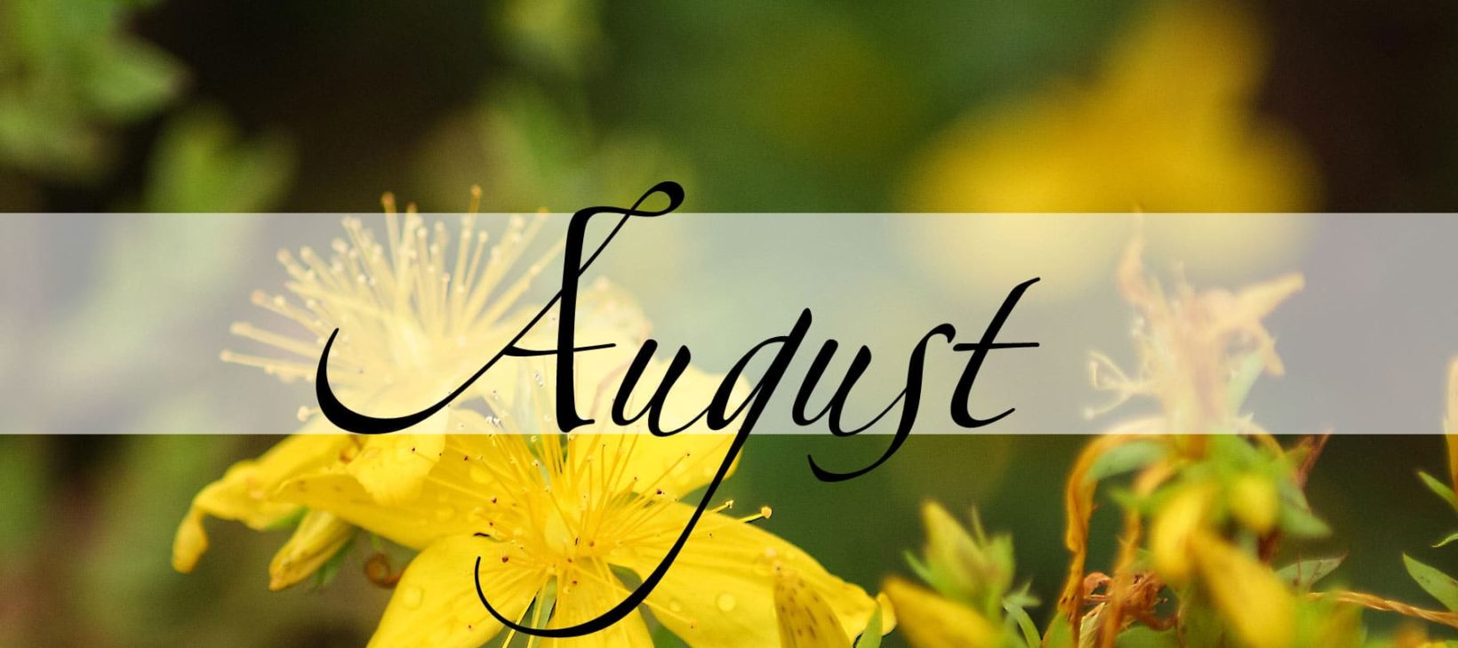 August