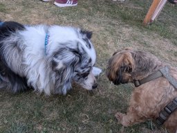 Sommerfest_2026